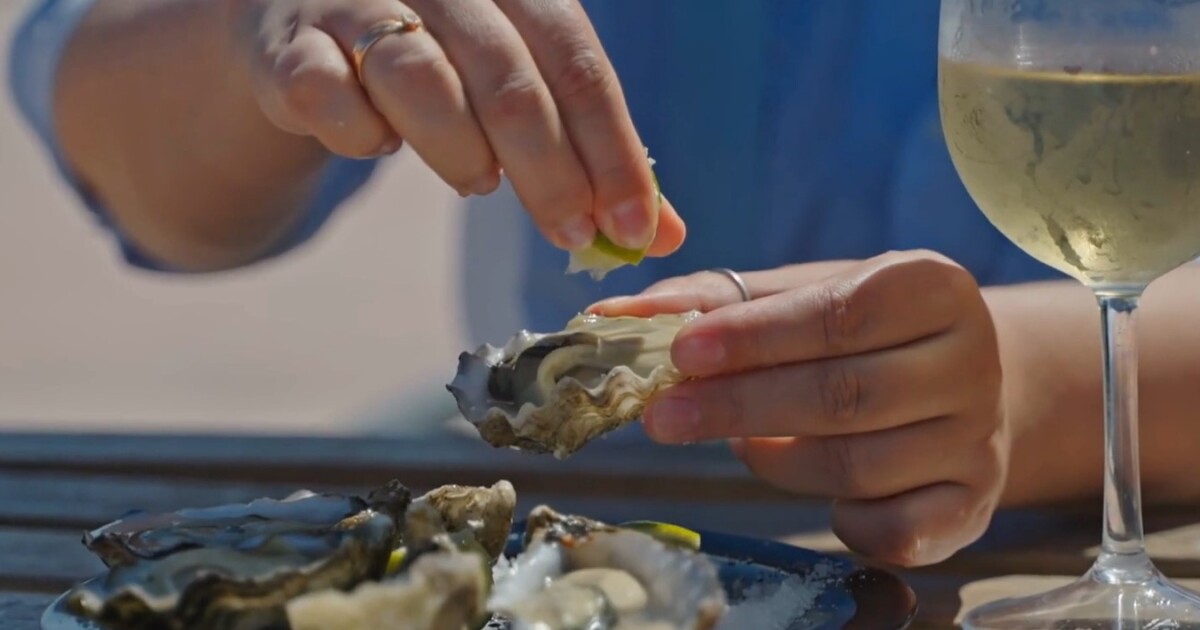 Coastal Bend Weekend: Shuck, Celebrate and Explore