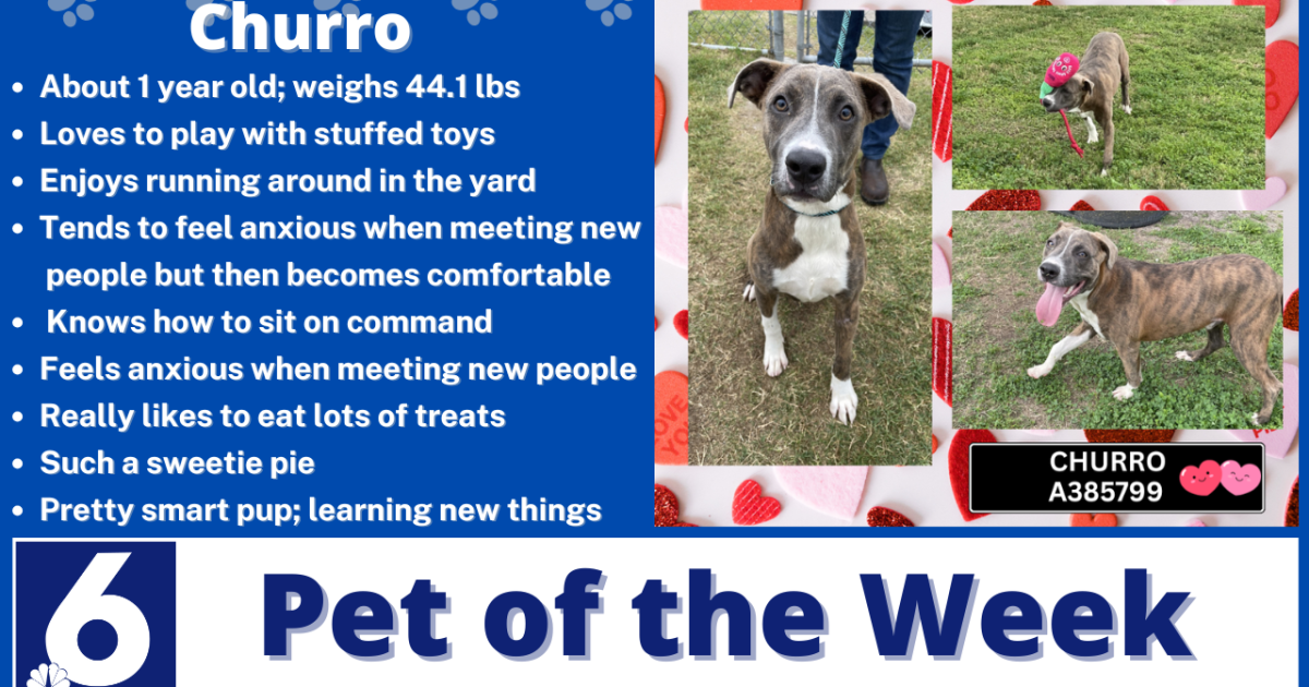 Pet of the Week: Churro