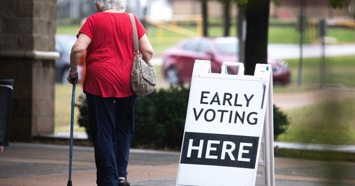 Travis County sees high early voting turnout for primaries