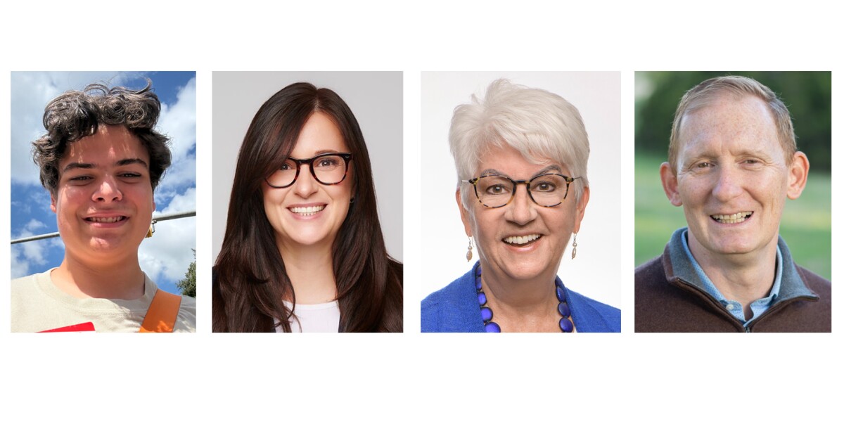 Meet the Travis County commissioner precinct 2 candidates