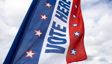 Williamson County voting guide for the March 3 primary election