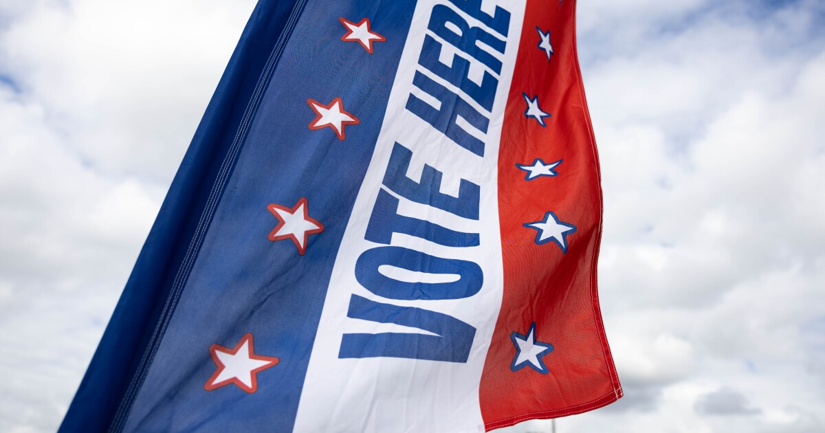 Williamson County voting guide for the March 3 primary election