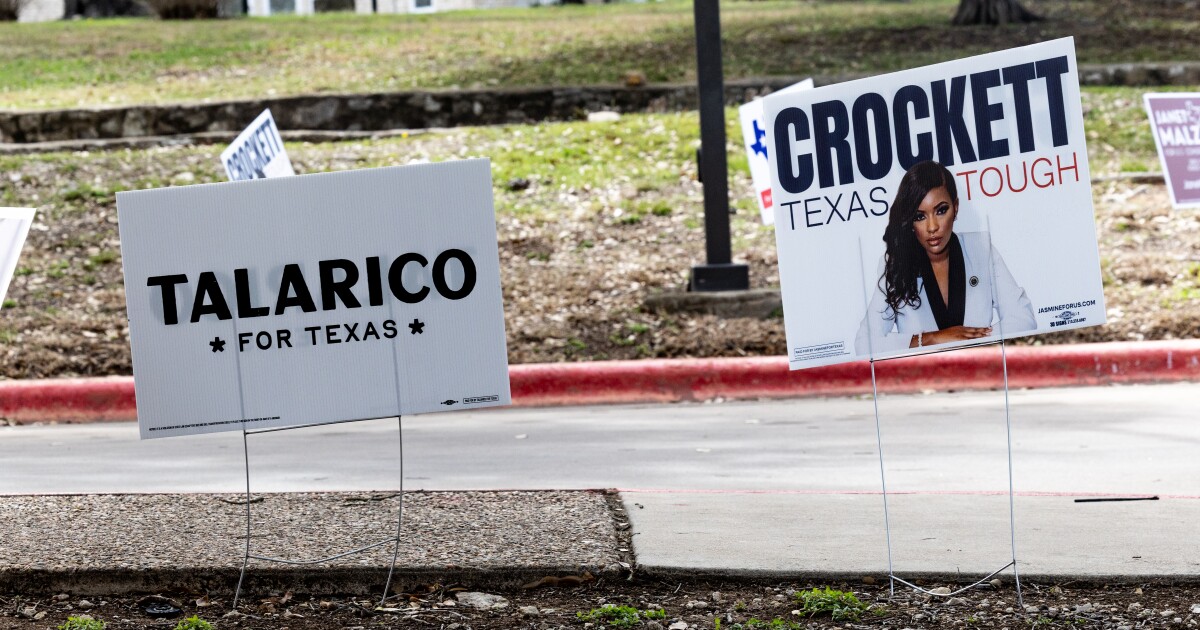 Don’t vote for 'Mickey Mouse.' Love, the Travis County Clerk