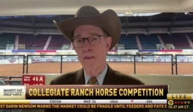 WATCH: Fort Worth Stock Show & Rodeo Now Streaming on RFD+