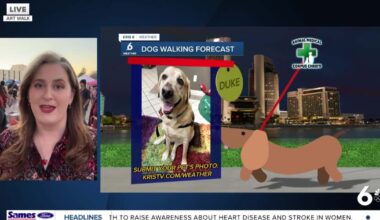 Super Bowl weekend forecast looks to be a warm one in the Coastal Bend