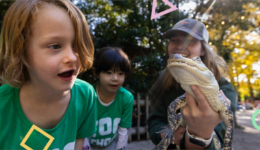 Friendships start and wonder grows at Zoo School