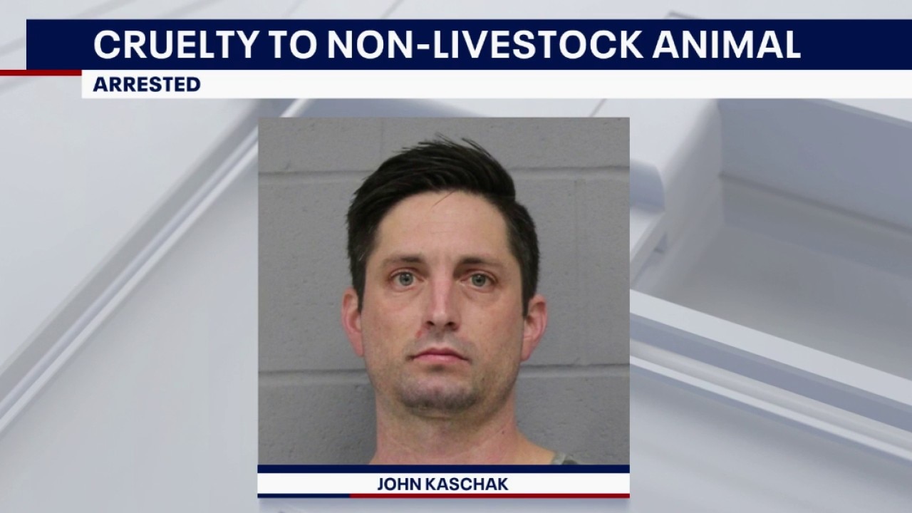 PREVIOUS COVERAGE: Man arrested in connection with dog abuse