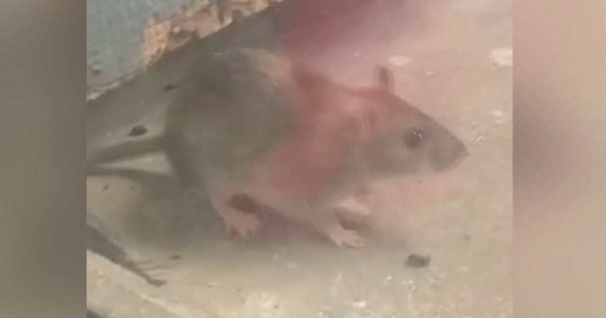 Residents raise health concerns at Northeast Houston apartment complex