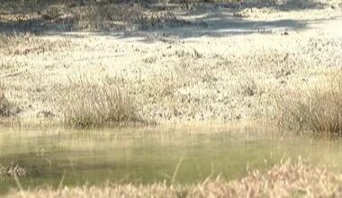 Hays County leaders concerned over growing water emergency