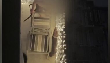 Dog beaten on Austin balcony to remain in city's custody; owner arrested