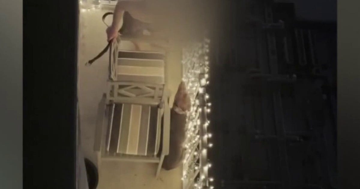 Dog beaten on Austin balcony to remain in city's custody; owner arrested