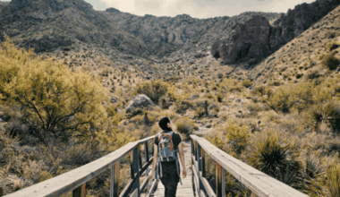 Desert adventure meets downtown culture
