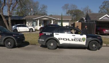 Houston woman shot in house on McHenry Street