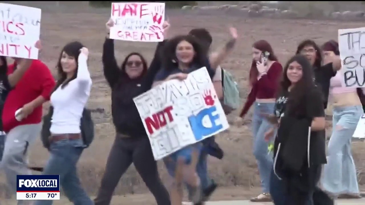 Adult arrested for fighting students protesting ICE