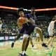 college basketball picks Matt Hayman Stephen F. Austin Lumberjacks predictions best bet odds