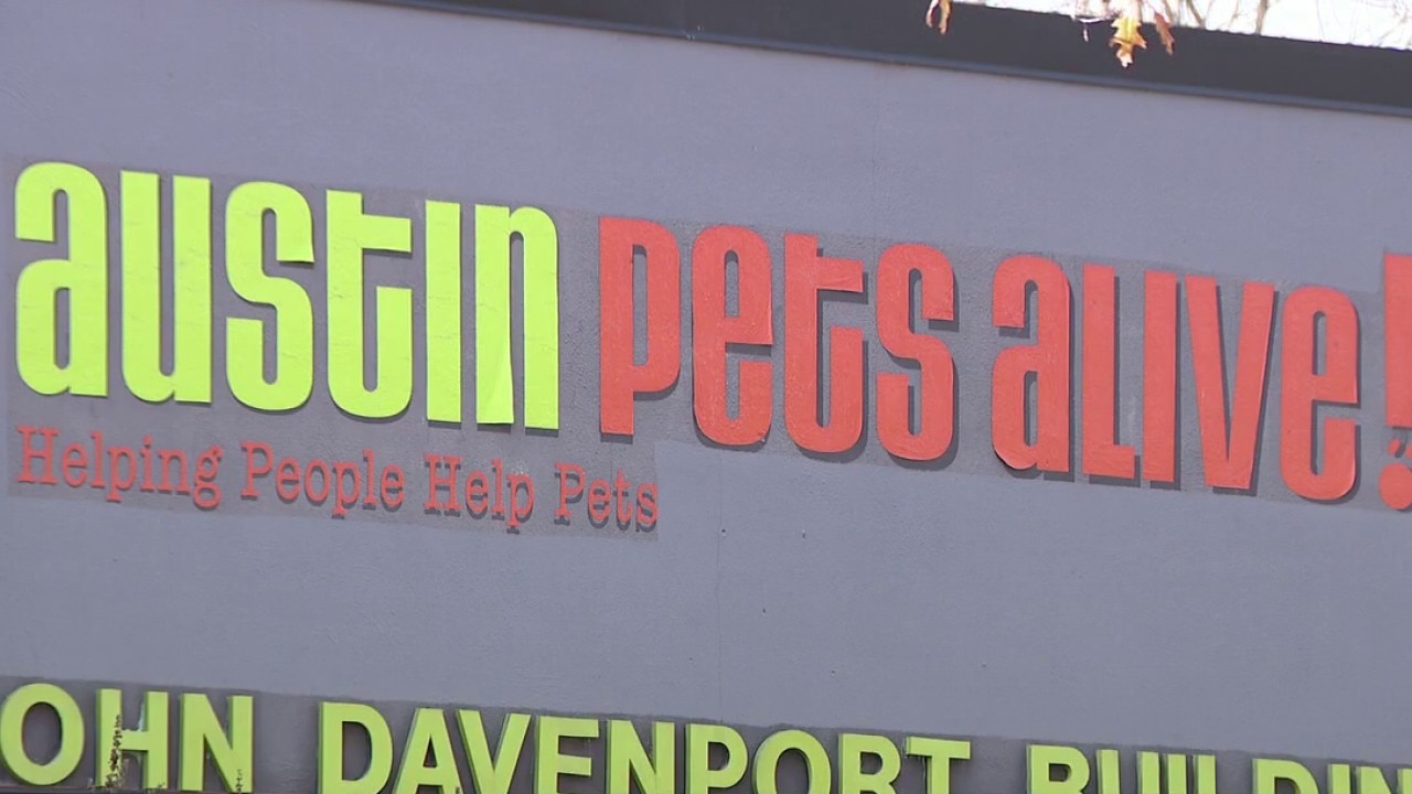 PREVIOUS COVERAGE: Hundreds of dogs fostered during winter storm, APA! says