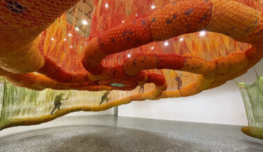 SunForceOceanLife MFAH