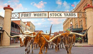 Fort Worth Visiting Fan Guide for the NCAA Women's Tournament at Schollmaier Arena and Dickies Arena