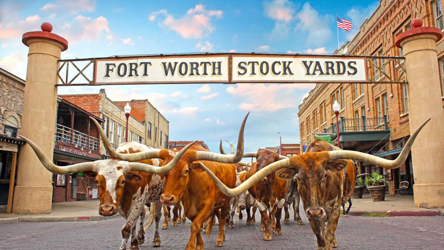 Fort Worth Visiting Fan Guide for the NCAA Women's Tournament at Schollmaier Arena and Dickies Arena