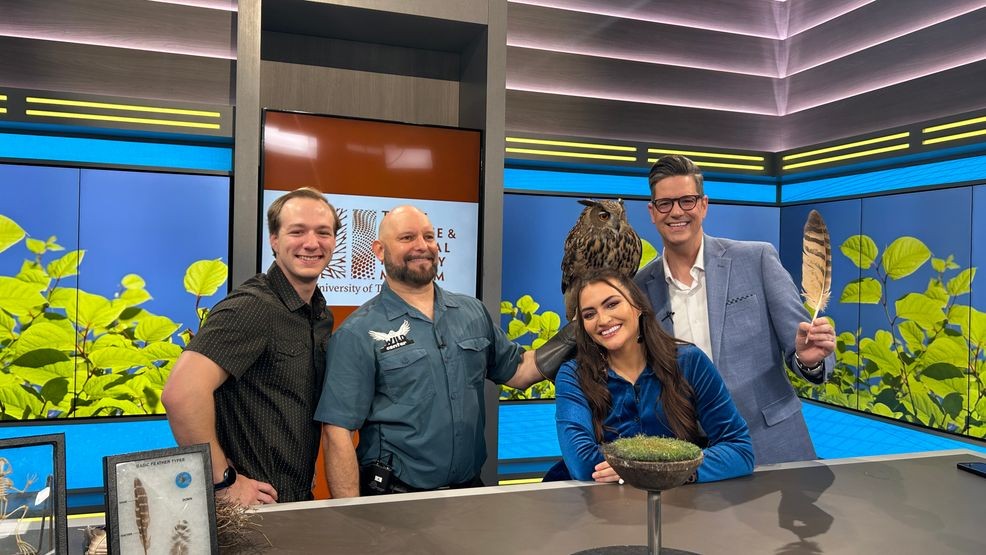 In celebration of Texas Wildlife Day, the Texas Science and Natural History Museum welcomed Dr. Liam Norris, Eagle Kirk Corredor, and Owl-Bert the Eurasian eagle owl to share what families can expect at this year’s event with hosts Sierra Waggoner and Trevor Scott!
