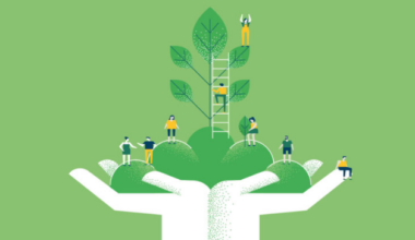 Austin unveils climate resilience plan in collaboration with UT