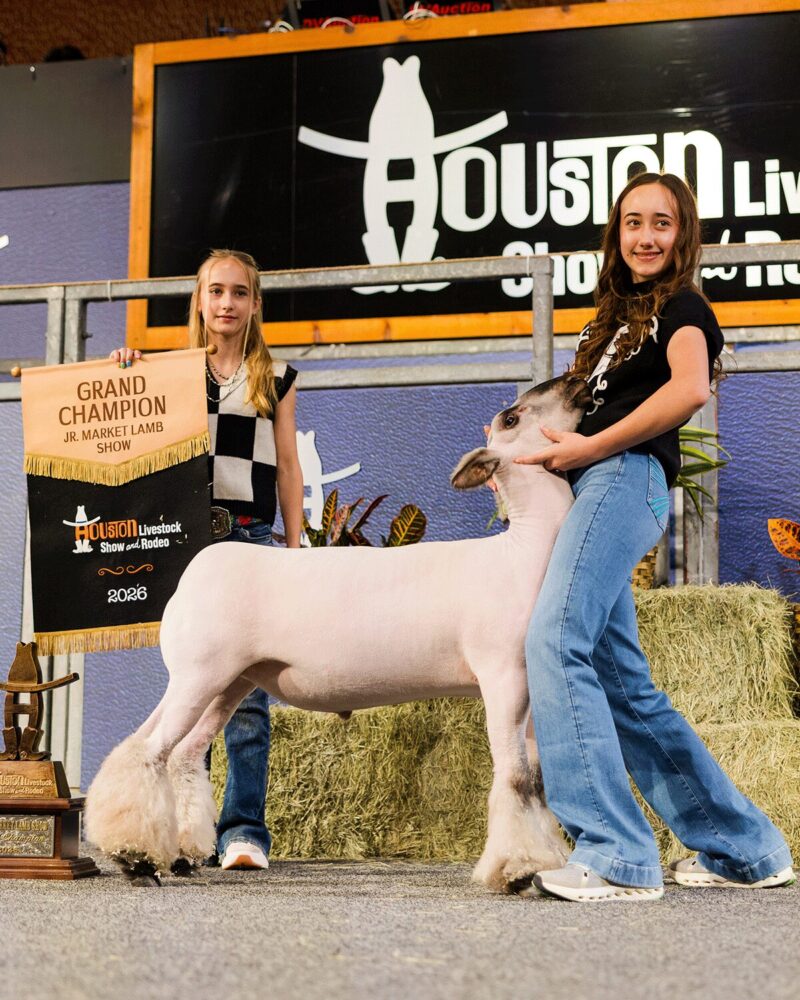 Houston Rodeo auction