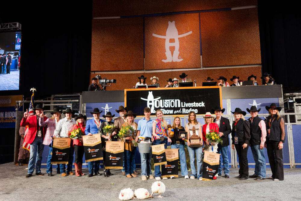 Houston Rodeo Auction