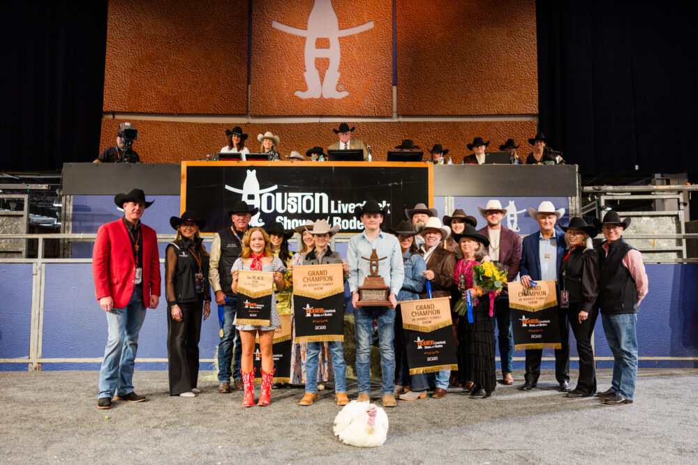 Houston Rodeo auction