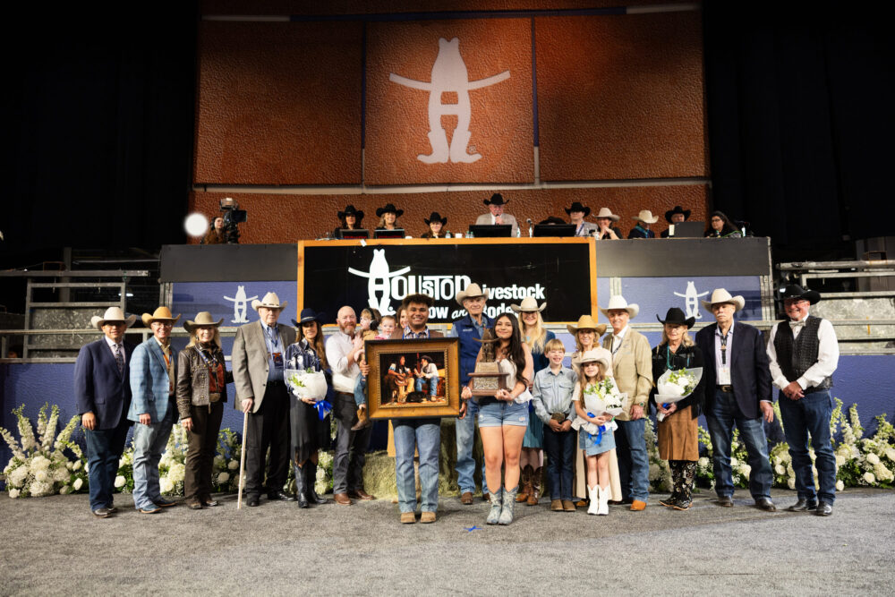 Houston Rodeo auction