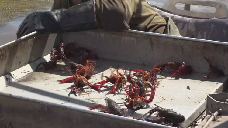 Yahoo lifestyle home