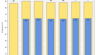 Houston, what were you like in the 90s? – Space City Weather