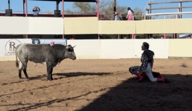 On the Texas-Mexico border, bullfights live on with a twist