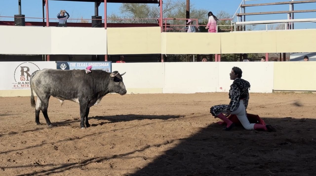 On the Texas-Mexico border, bullfights live on with a twist