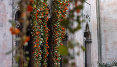 Nasturtium vines waiting to be placed on display in the courtyard at the Isabella Stewart Gardner Museum. (Robin Lubbock/WBUR)