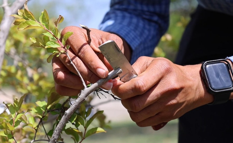 Yahoo lifestyle home