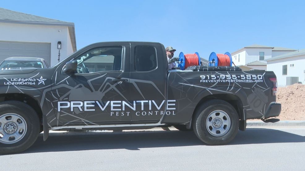 Rising temperatures fuel pest activity, experts say early prevention is key