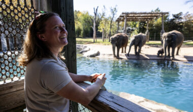 Want to avoid spring break traffic congestion near Fort Worth Zoo? Police say there are options