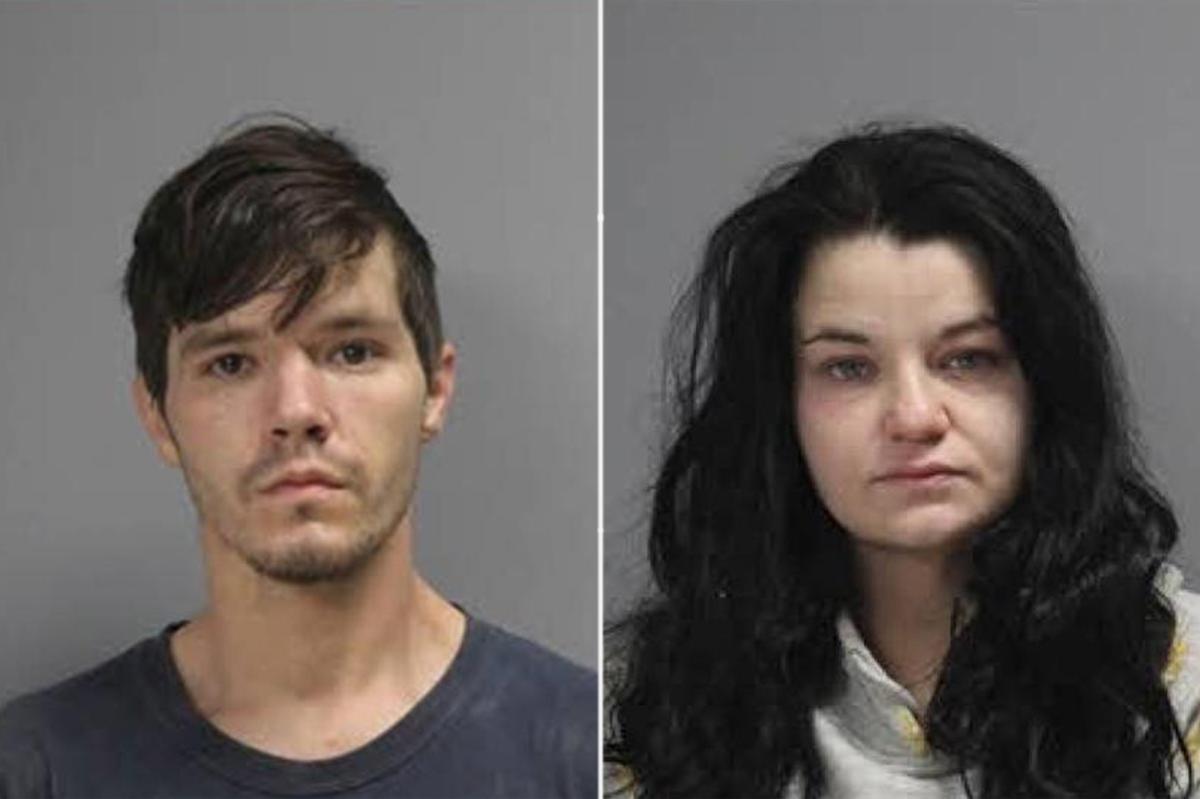 Owner of Texas animal rescue accused of starving 80 dogs in her care, more than 100 feared dead