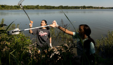 Shoreline sprucing (Photo by Rasy Ran)