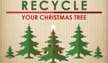Christmas Tree Recycling Available Dec. 26, 2025, to Jan. 15, 2026