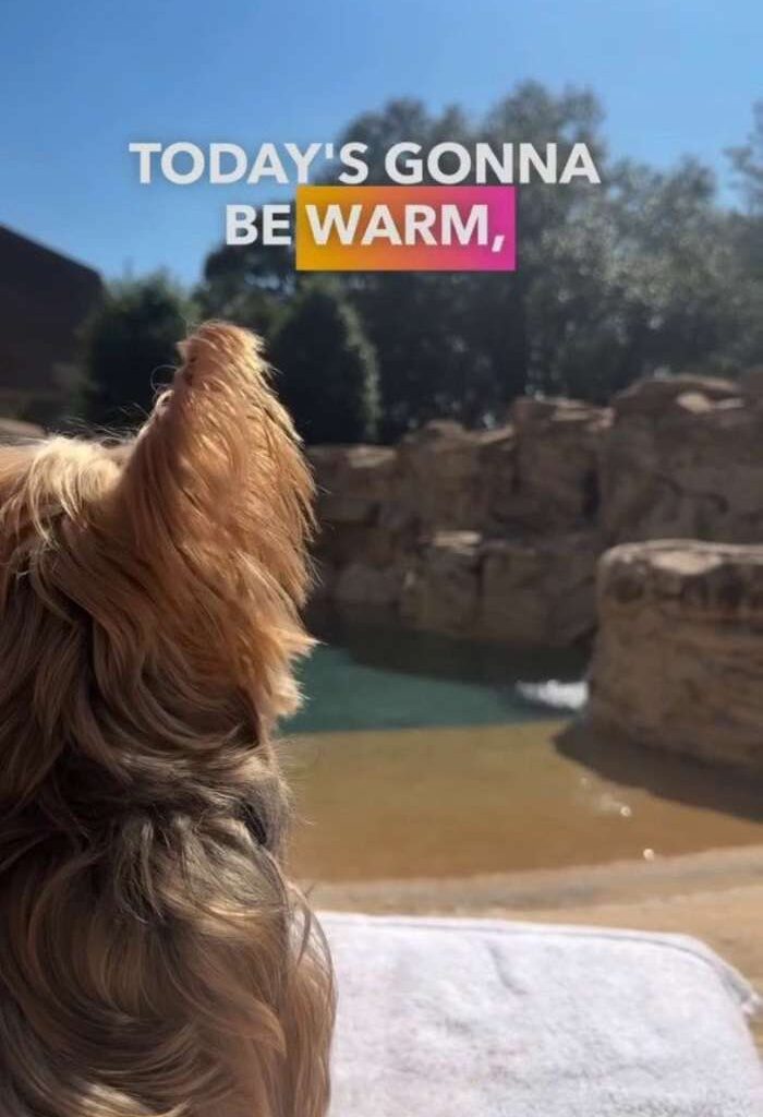 What weather can we expect in March?