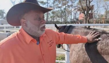 Trail boss speaks out after removal from Houston Rodeo parade