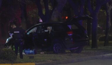 1 killed after car hits tree in Braeswood