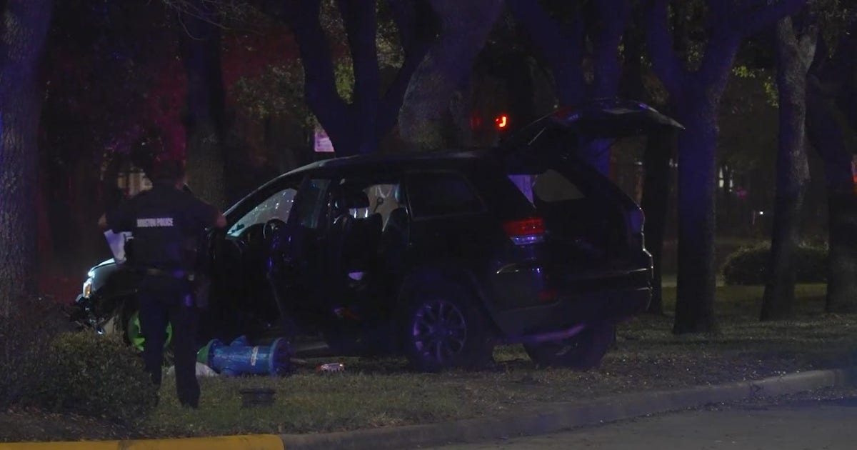 1 killed after car hits tree in Braeswood