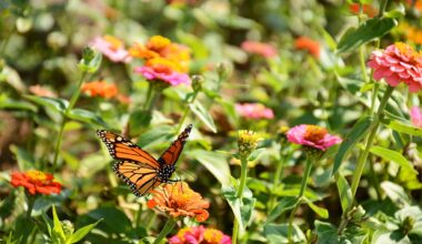 Free Event: Learn About Native Plants, Pollinators on March 12, 2026