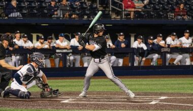 Stephen F. AustinLogo