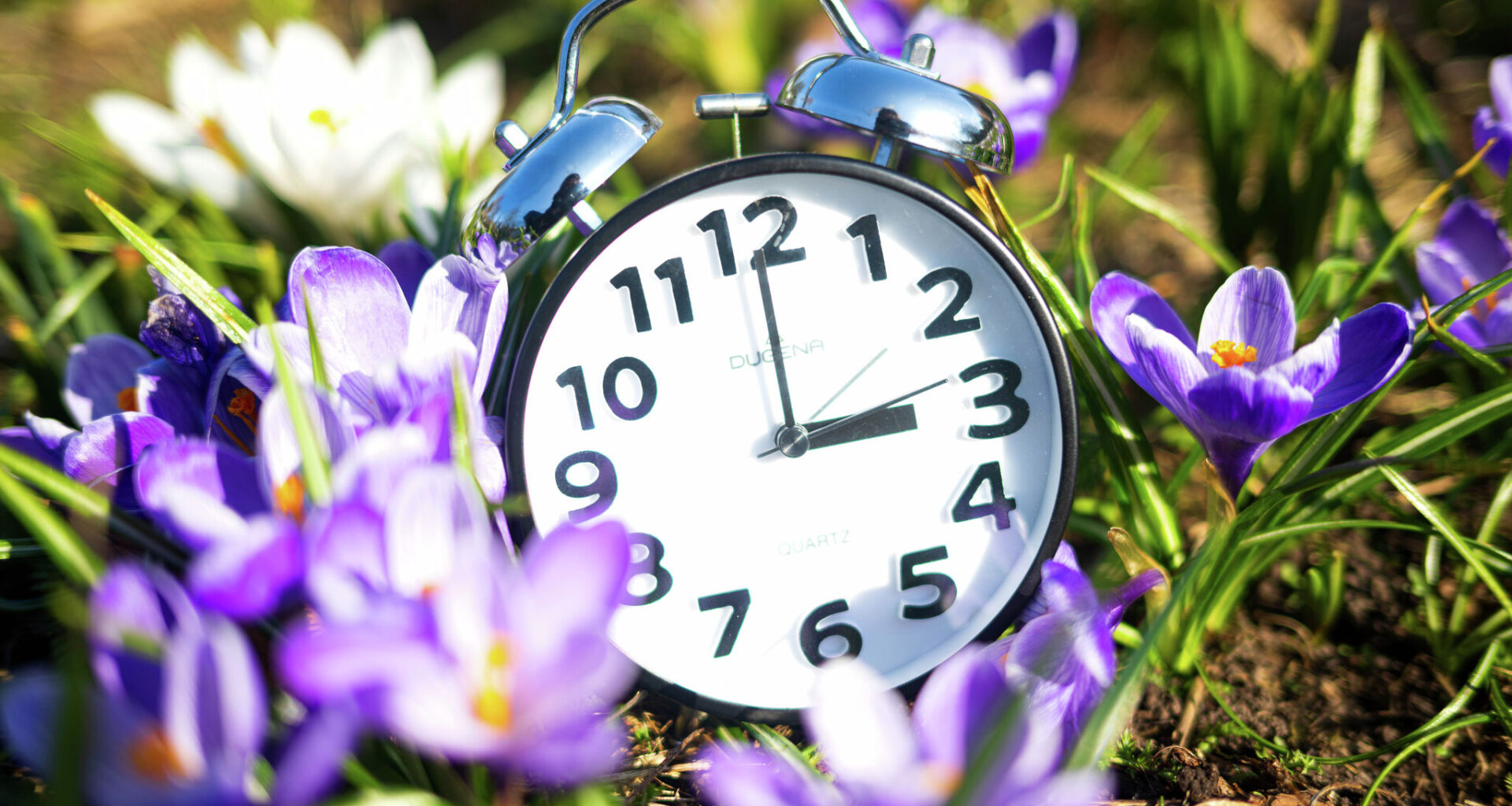 When does the time change in Austin?