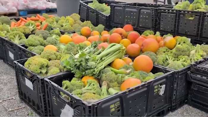 SAISD, San Antonio Food Bank team up to feed 800 families ahead of spring break