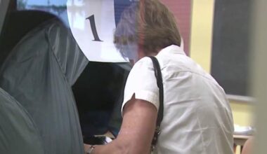 Record voter turnout in Harris County primary