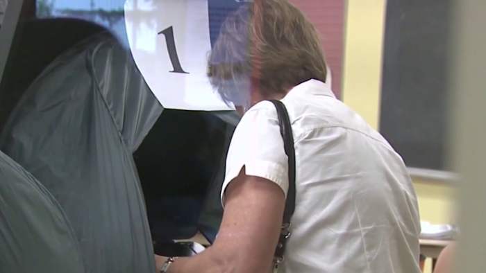 Record voter turnout in Harris County primary